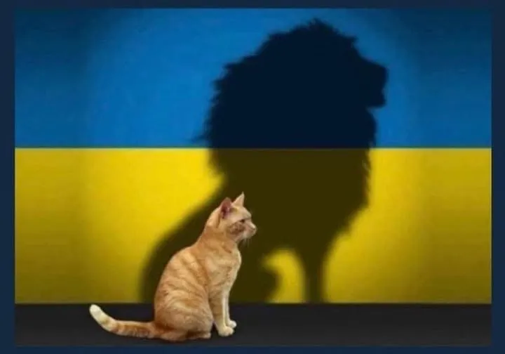 Chat roux devant un drapeau ukrainien, son ombre dessinant un lion